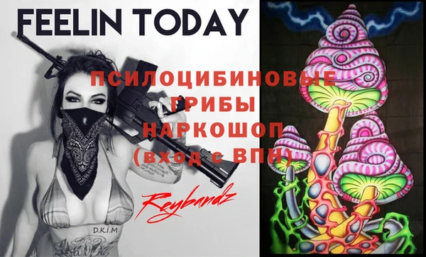 сатива Шарыпово