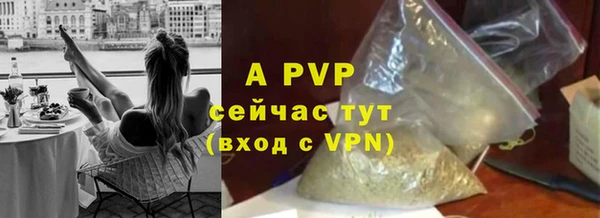 PSILOCYBIN Шали