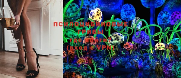 PSILOCYBIN Шали