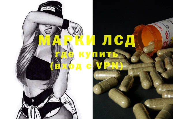 PSILOCYBIN Шали