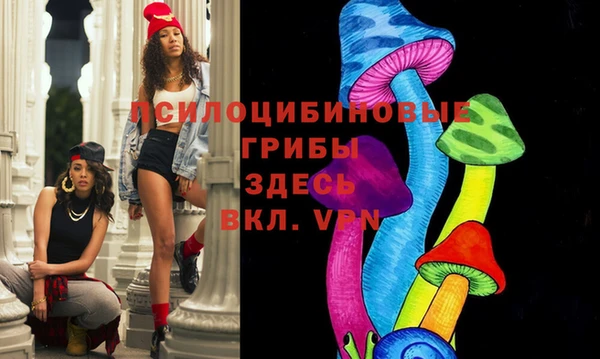 PSILOCYBIN Шали