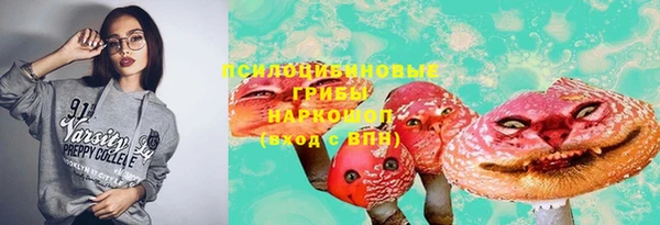 сатива Шарыпово