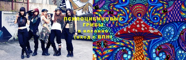 mdma Шадринск