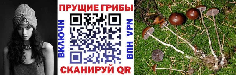 Псилоцибиновые грибы мицелий  Купить где  Волчанск 